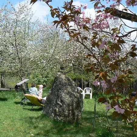 Hiemer 2 Comfortable Casa vacanze Sulzberg
