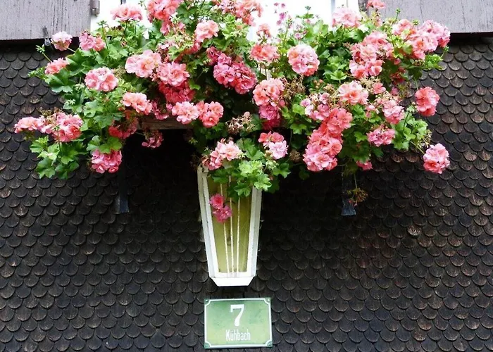 Hiemer 2 Comfortable Sulzberg
