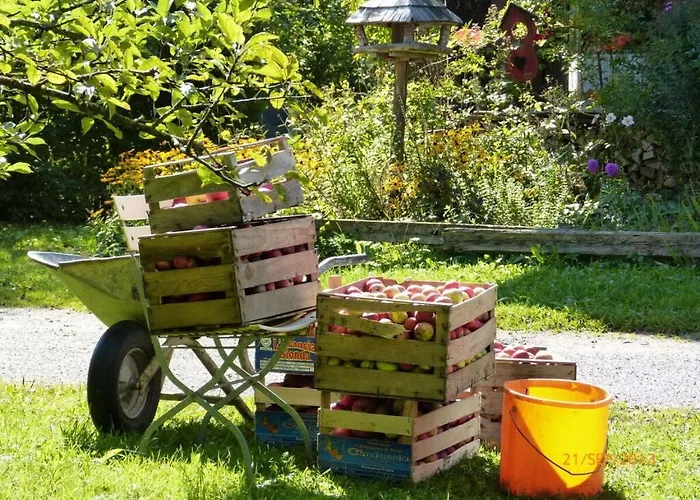 Hiemer 2 Comfortable Ferienhaus
